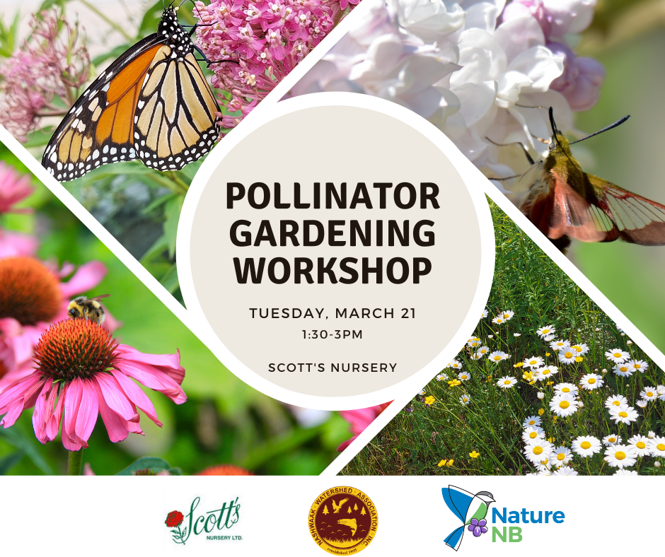 Pollinator Gardening Workshop